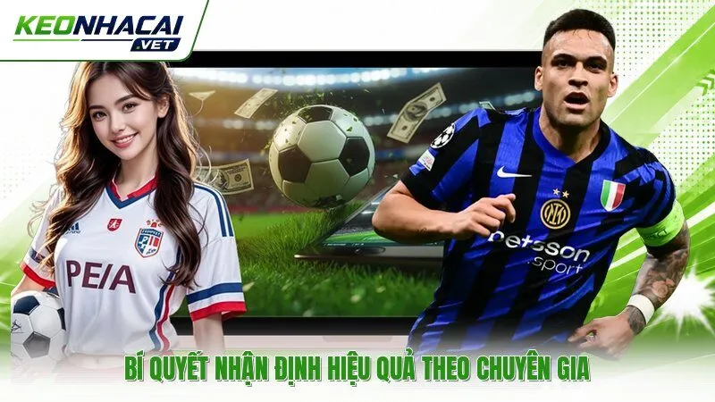 Bí quyết nhận định hiệu quả theo chuyên gia