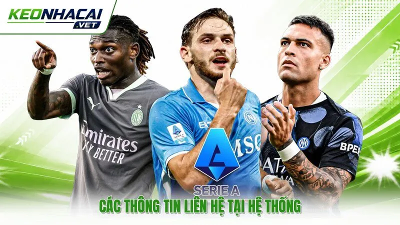 Các thông tin liên hệ tại hệ thống