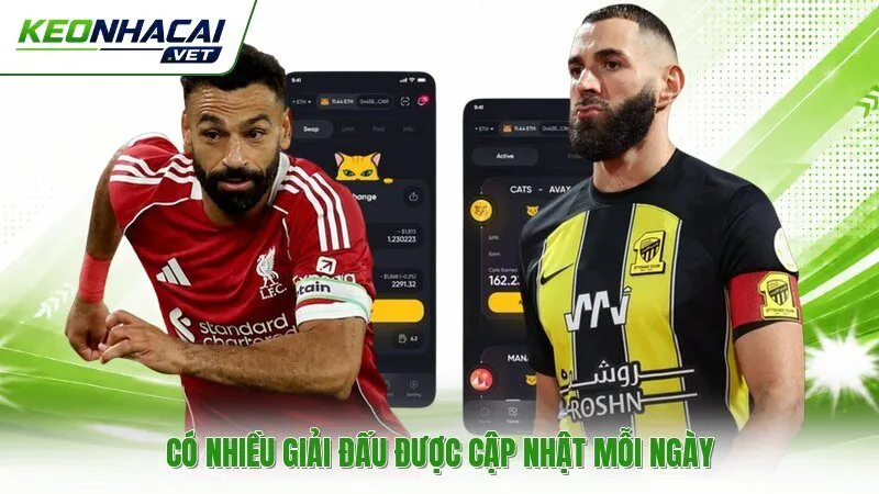 Có nhiều giải đấu được cập nhật mỗi ngày