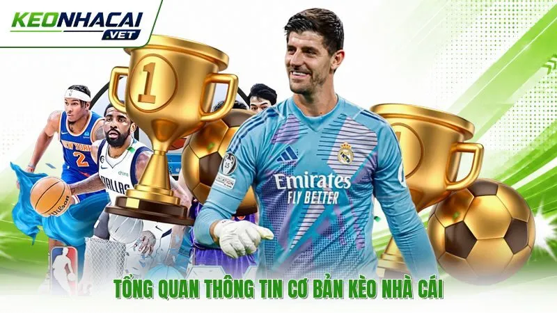 Tổng quan thông tin cơ bản kèo nhà cái