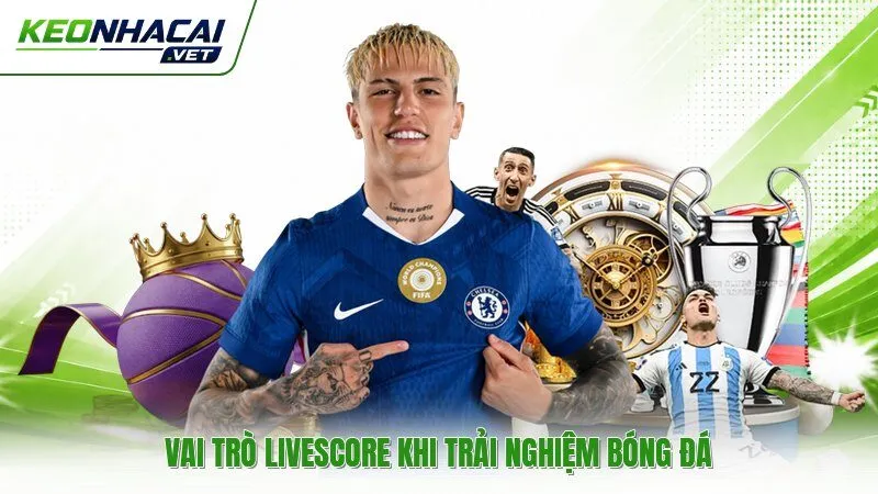 Vai trò Livescore khi trải nghiệm bóng đá