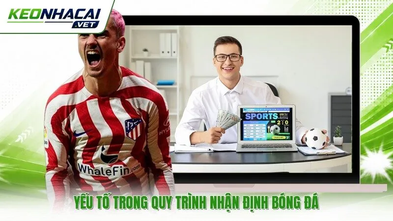 Yếu tố trong quy trình nhận định bóng đá