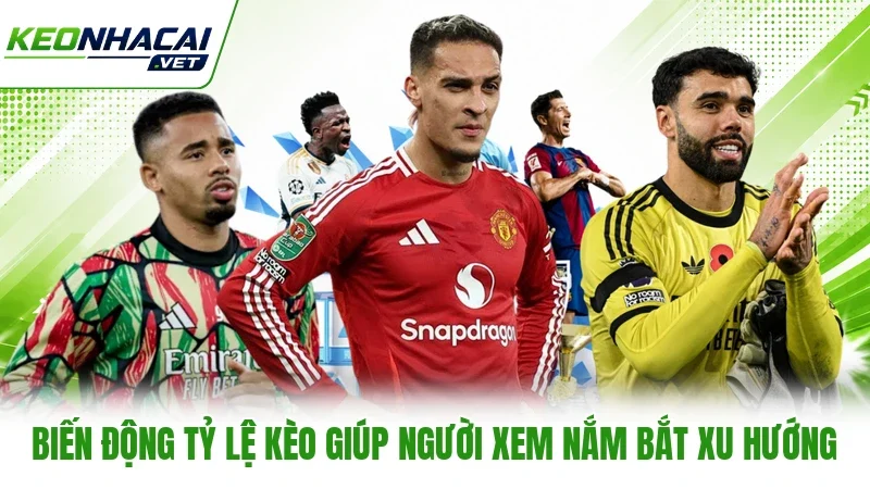 Biến động tỷ lệ kèo giúp người xem nắm bắt xu hướng