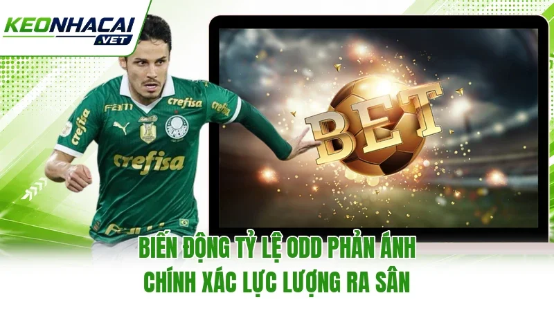 Biến động tỷ lệ odd phản ánh chính xác lực lượng ra sân