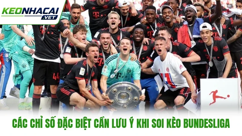 Các chỉ số đặc biệt cần lưu ý khi soi kèo Bundesliga Các chỉ số đặc biệt cần lưu ý khi soi kèo Bundesliga