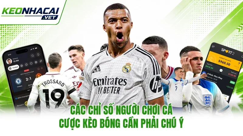 Các chỉ số người chơi cá cược kèo bóng cần phải chú ý