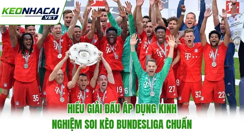 Hiểu giải đấu áp dụng kinh nghiệm soi kèo Bundesliga chuẩn Hiểu giải đấu áp dụng kinh nghiệm soi kèo Bundesliga chuẩn