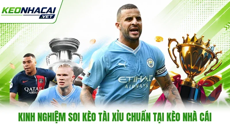 Kinh Nghiệm Soi Kèo Tài Xỉu Chuẩn Tại Kèo Nhà Cái