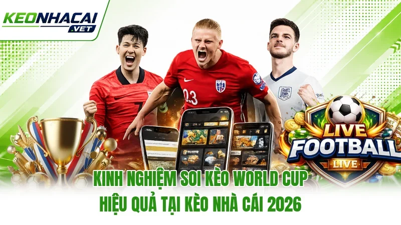 Kinh Nghiệm Soi Kèo World Cup Hiệu Quả Tại Kèo Nhà Cái 2026