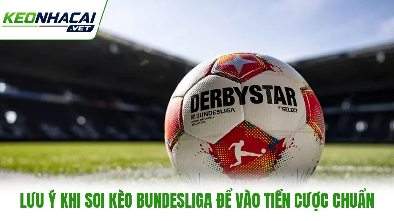 Lưu ý khi soi kèo Bundesliga để vào tiền cược chuẩn Lưu ý khi soi kèo Bundesliga để vào tiền cược chuẩn