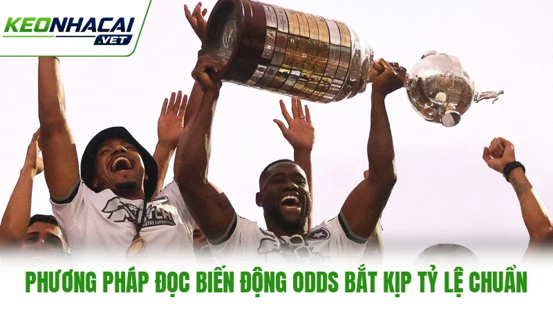 Phương pháp đọc biến động Odds bắt kịp tỷ lệ chuẩn