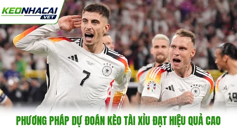 Phương pháp dự đoán kèo Tài Xỉu đạt hiệu quả cao