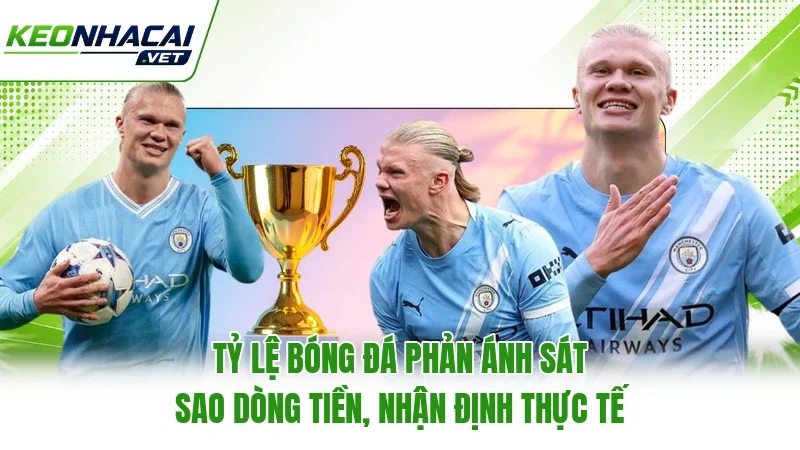 Tỷ lệ bóng đá phản ánh sát sao dòng tiền, nhận định thực tế