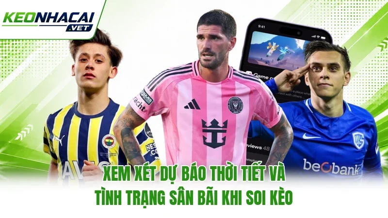 Xem xét dự báo thời tiết và tình trạng sân bãi khi soi kèo