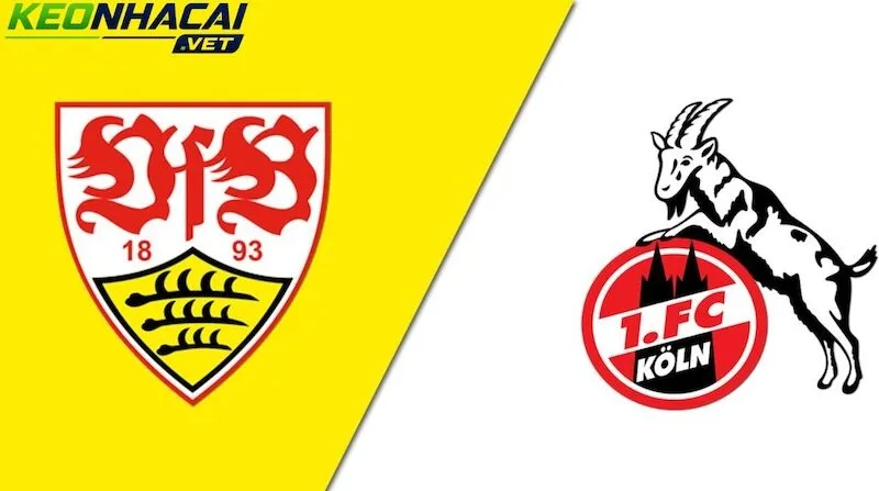 Nhận định Stuttgart vs Koln